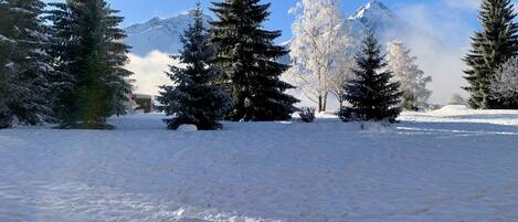 Snow and ski sports