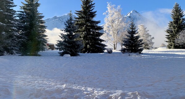 Snow and ski sports