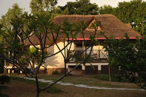 Front view