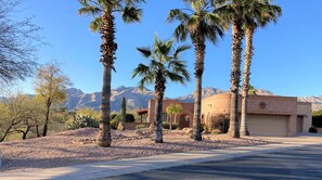 Front yard w/palm trees.