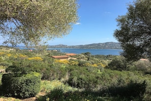 Surroundings