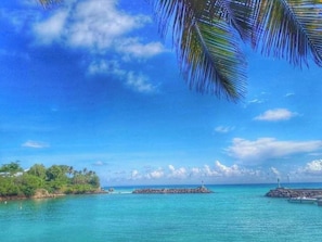 Swimming pool view