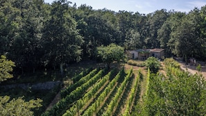 Privater eingezäunter Außenbereich des Bungalows mit Blick auf die Weinberge!
