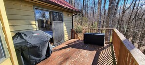 Main Level Deck (2)