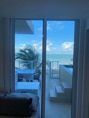 Beach/ocean view