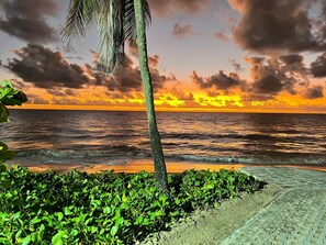 Front of property – evening/night