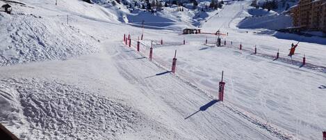 Sne- og skisport