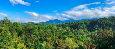 Stunning view of Mt LeConte from the deck