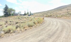 the road will curve to the left and go right into our driveway. 