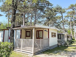 Pflanze, Gebäude, Fenster, Himmel, Baum, Haus, Holz, Hütte, Wohngebiet