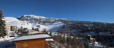 Terrain de l’hébergement 