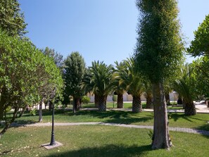 Garden [summer]