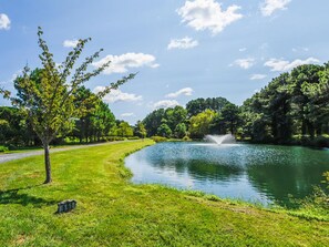 Entrance Pond