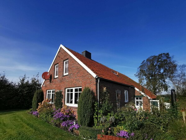 Blume, Himmel, Pflanze, Eigentum, Gebäude, Fenster, Haus, Natürliche Landschaft, Baum, Hütte