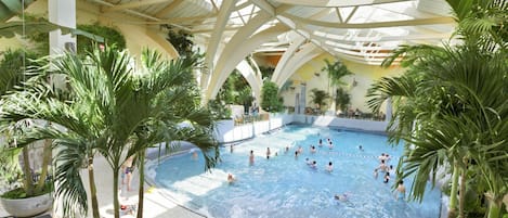 Wasser, Pflanze, Schwimmbad, Schatten, Strandresort, Freizeit, Gebäude, Baum, Eco Hotel, Arecales