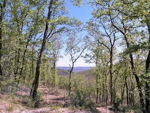 Ciel, Plante, Paysage Naturel, Arbre, Tronc, Bois, Terrestre Des Plantes, Paysage, Herbe, Forêt