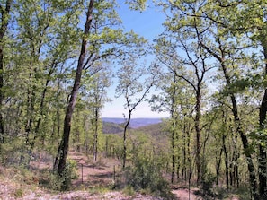 Himmel, Pflanze, Natürliche Landschaft, Baum, Kofferraum, Holz, Terrestrische Plant, Landschaft, Gras, Wald