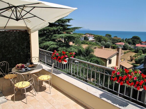 Plante, Bâtiment, Fleur, Ciel, Propriété, Pot De Fleur, Table, Parapluie, Arbre, Mobilier De Jardin