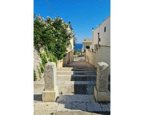 Sky, Plant, Flower, Azure, Road Surface, Building, Stairs, Landscape, Rural Area, Road