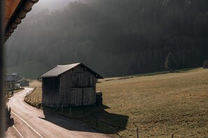 Miscellaneous