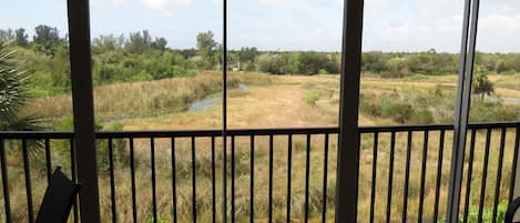 Western view over Lake Park, a nature preserve in the middle of the city 