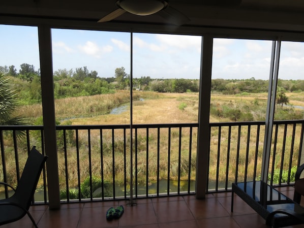 Western view over Lake Park, a nature preserve in the middle of the city 