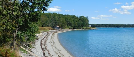 Beach in front of your place!  
