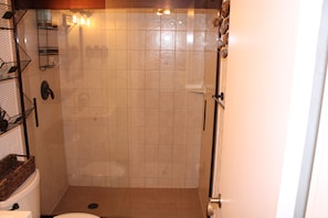 Glass door shower