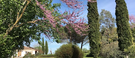 Jardines del alojamiento