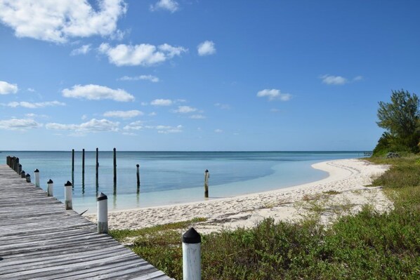 Our own private dock and beach