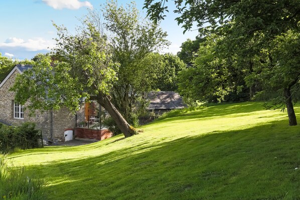 Large lawned area with a bench and charcoal barbecue