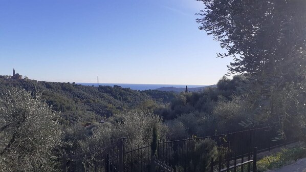 Vue depuis l’hébergement