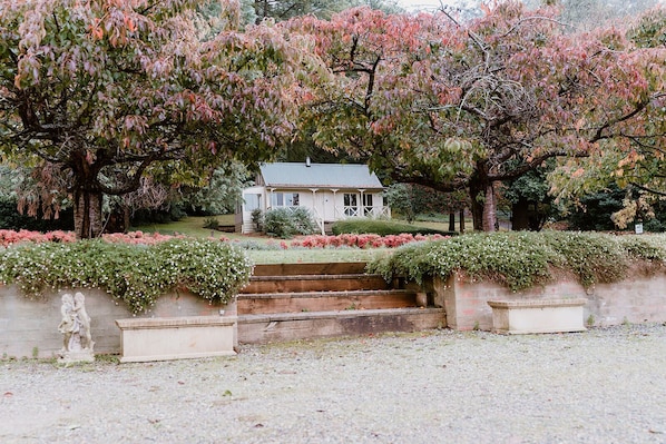 The Mountain View Cottage