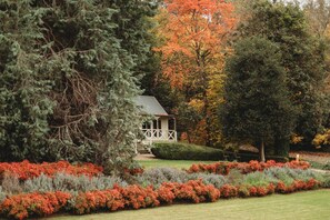 The Mountain View Cottage