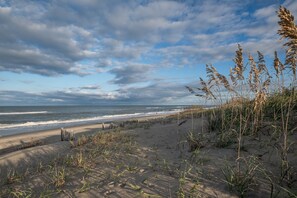 Strand