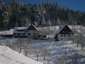 Blockhütte Kastanie, max. 4 Personen-Ferienhof im Winter