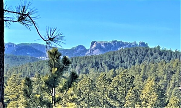Beautiful views from the property. Sits on 37 acres
