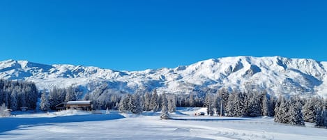 Esportes de neve e esqui