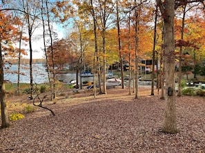 Front yard look