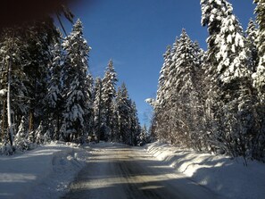 Snow and ski sports