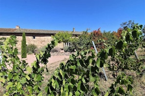 GĂźte 'Le Carcan' Ă Fleurie (RhĂŽne, Beaujolais, sud de MĂącon) : gĂźte au coeur du vignoble Beaujolais.