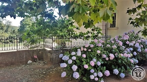 Gîte "Château d'Emeringes " à Emeringes dans le Beaujolais - Rhône : l'entrée de la propriété.