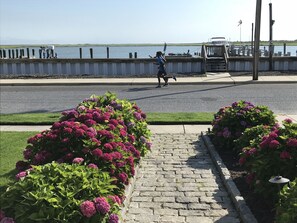 EARLY MORNING RUNNERS ENJOYING BAY BREEZES.