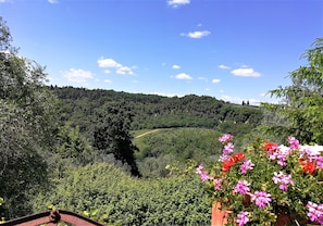 Vue depuis l’hébergement