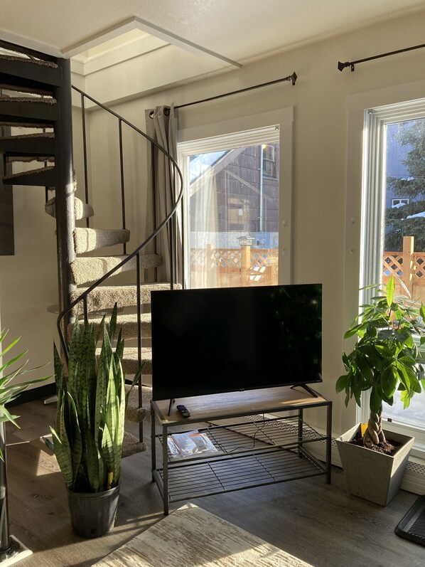 Well lit living room with smart tv and gorgeous plants. 