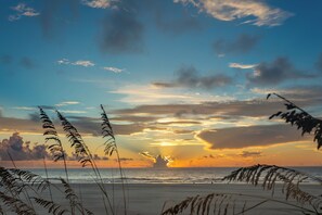 Grab a cup of coffee & walk to the beach every morning to see this sunrise 