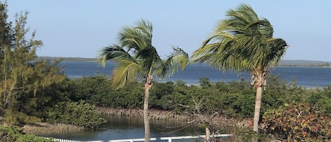 View of canal and sound from front porch.