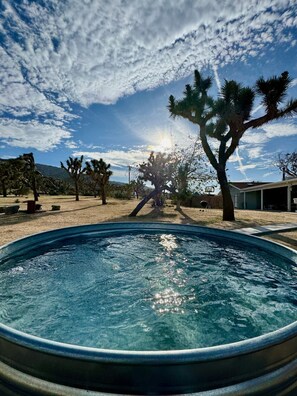 Cowboy Pool / Cold Plunge amongst the Joshua Trees