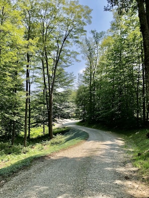Driveway in summer