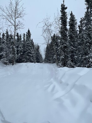 Skidåkning och snöaktiviteter